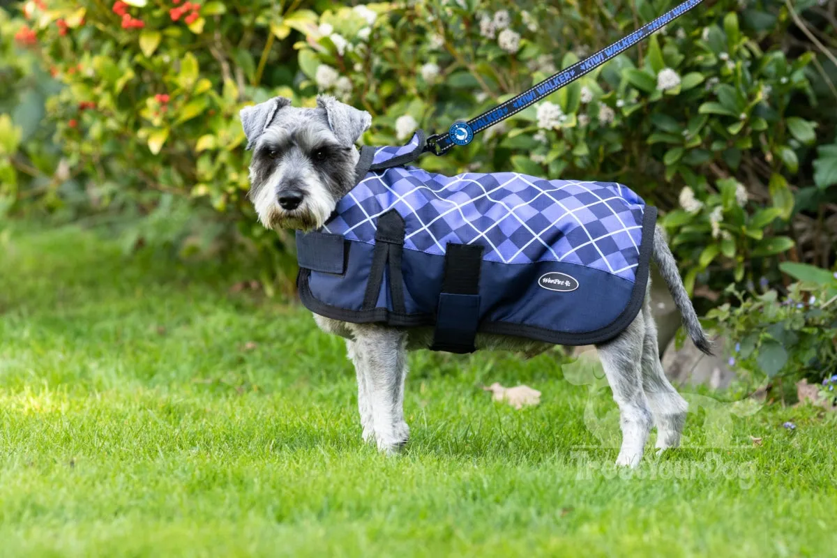 All Seasons Waterproof Dog Coat in Blue Check