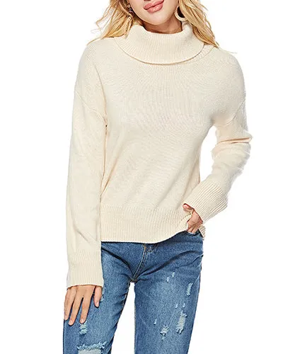 High Neck Thick Long Sleeve Sweater